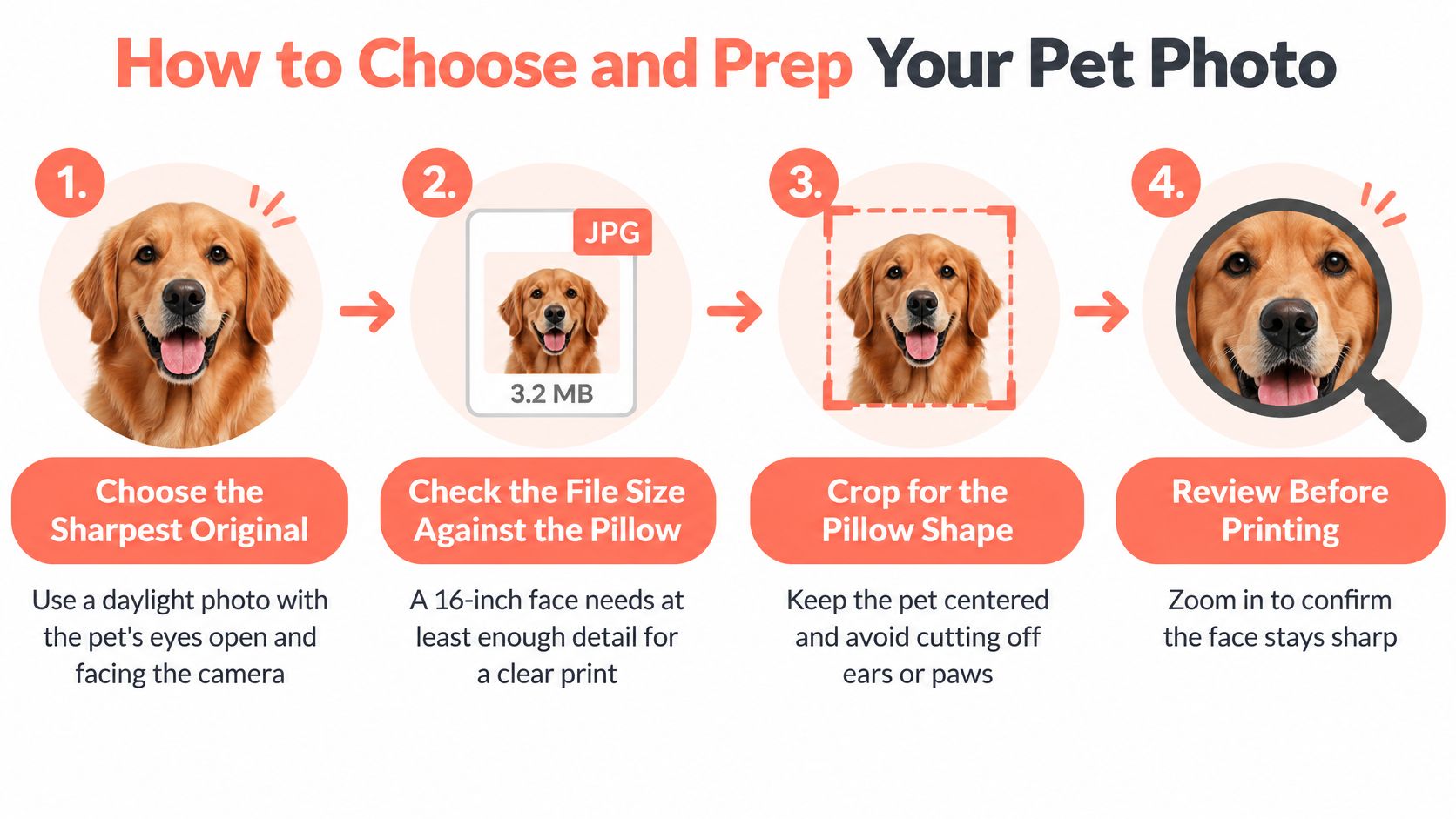 A four-step infographic guide on how to choose and prepare a high-quality pet photo for custom printing.