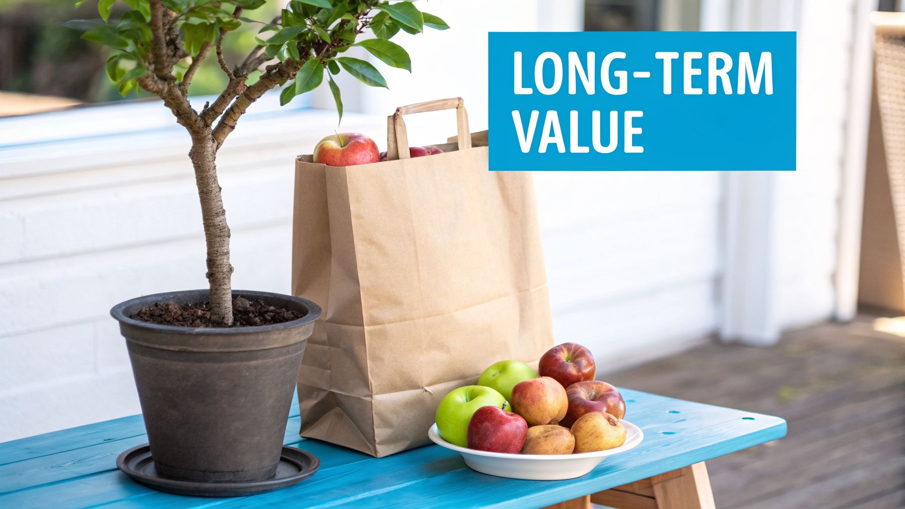 A potted plant, a paper bag, and a bowl of fresh apples on a blue table, featuring "LONG-TERM VALUE" text.