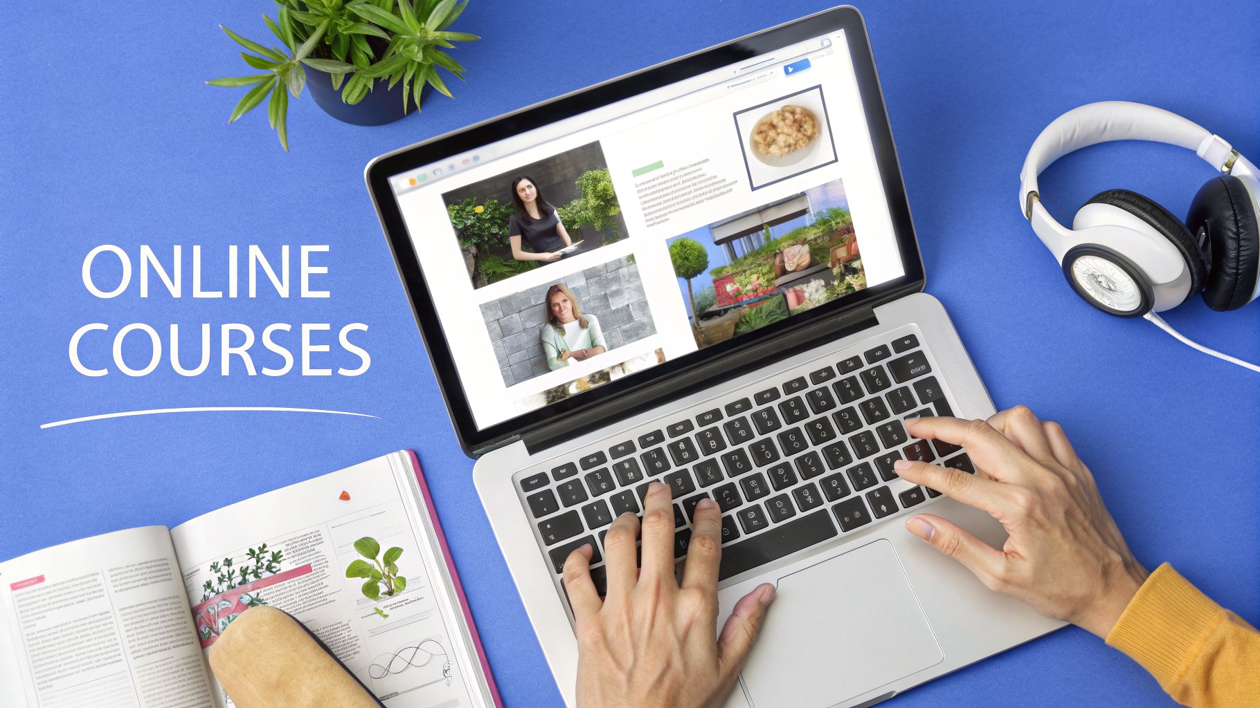 8 Popular Sole Proprietor Business Examples for 2026 | Start Right Now Blog