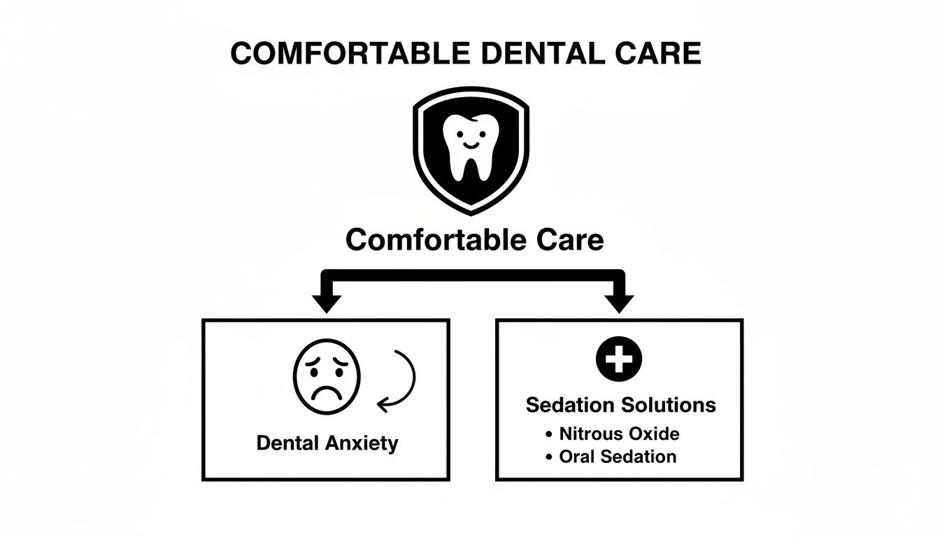 Diagram illustrating comfortable dental care, addressing dental anxiety with sedation solutions like nitrous oxide and oral sedation.