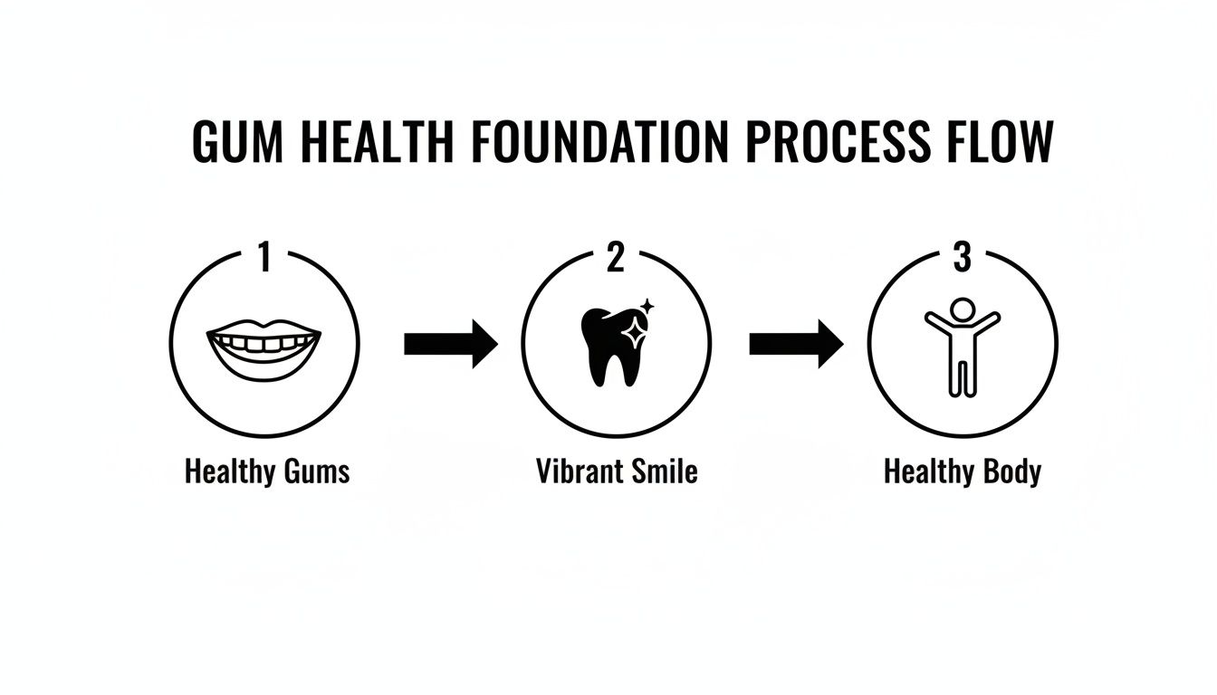Seven Oaks - Dentistry & Sleep Medicine | How to Maintain Healthy Gums: A Guide from Your Wesley Chapel Dentist A process flow diagram illustrating that healthy gums lead to a vibrant smile and ultimately a healthy body.