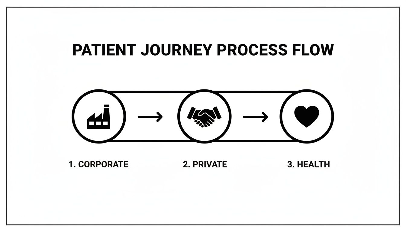 Seven Oaks - Dentistry & Sleep Medicine | Finding Private Practice Dental Offices Near Me in Wesley Chapel, FL Diagram illustrating the patient journey process flow through corporate, private, and health stages.