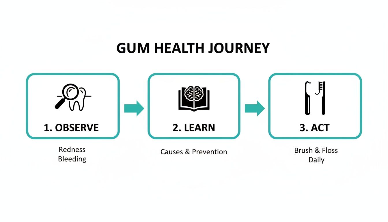 An infographic showing the 3-step gum health journey: Observe symptoms, Learn causes, and Act with daily brushing and flossing.