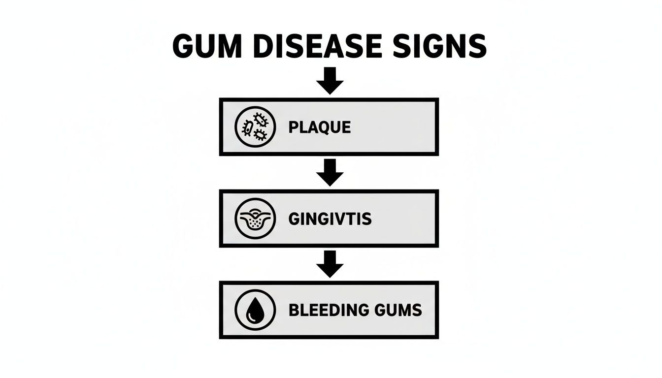 Flowchart illustrating the progression of gum disease signs: plaque, gingivitis, and bleeding gums.