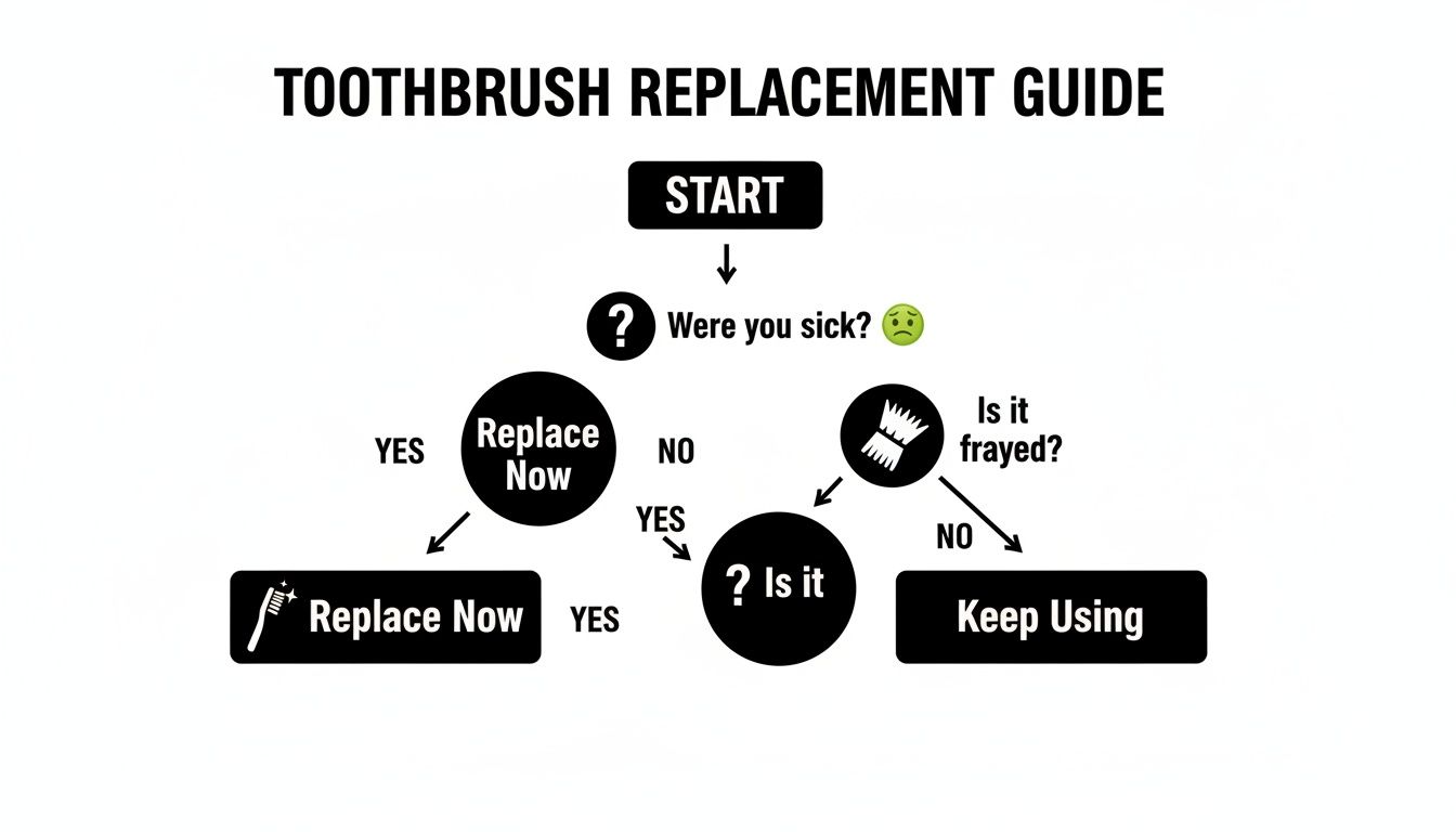 Flowchart guide on when to replace a toothbrush based on illness, bristle fraying, and other factors.