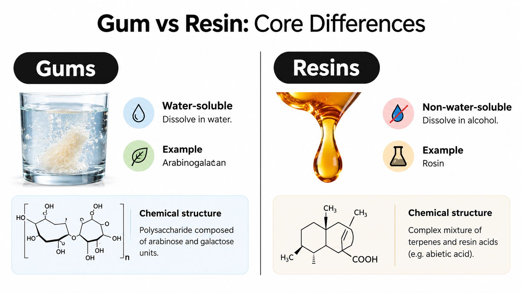 An infographic showing the chemical and physical differences between gums and resins in nature.