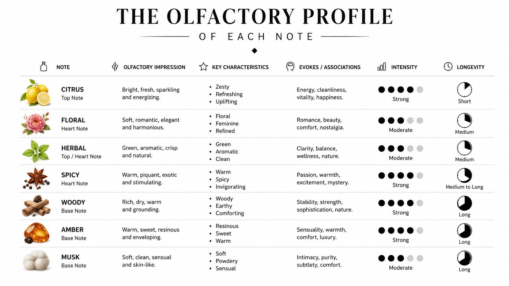 A chart detailing the olfactory profiles of various fragrance notes including citrus, floral, herbal, spicy, woody, amber, and musk.