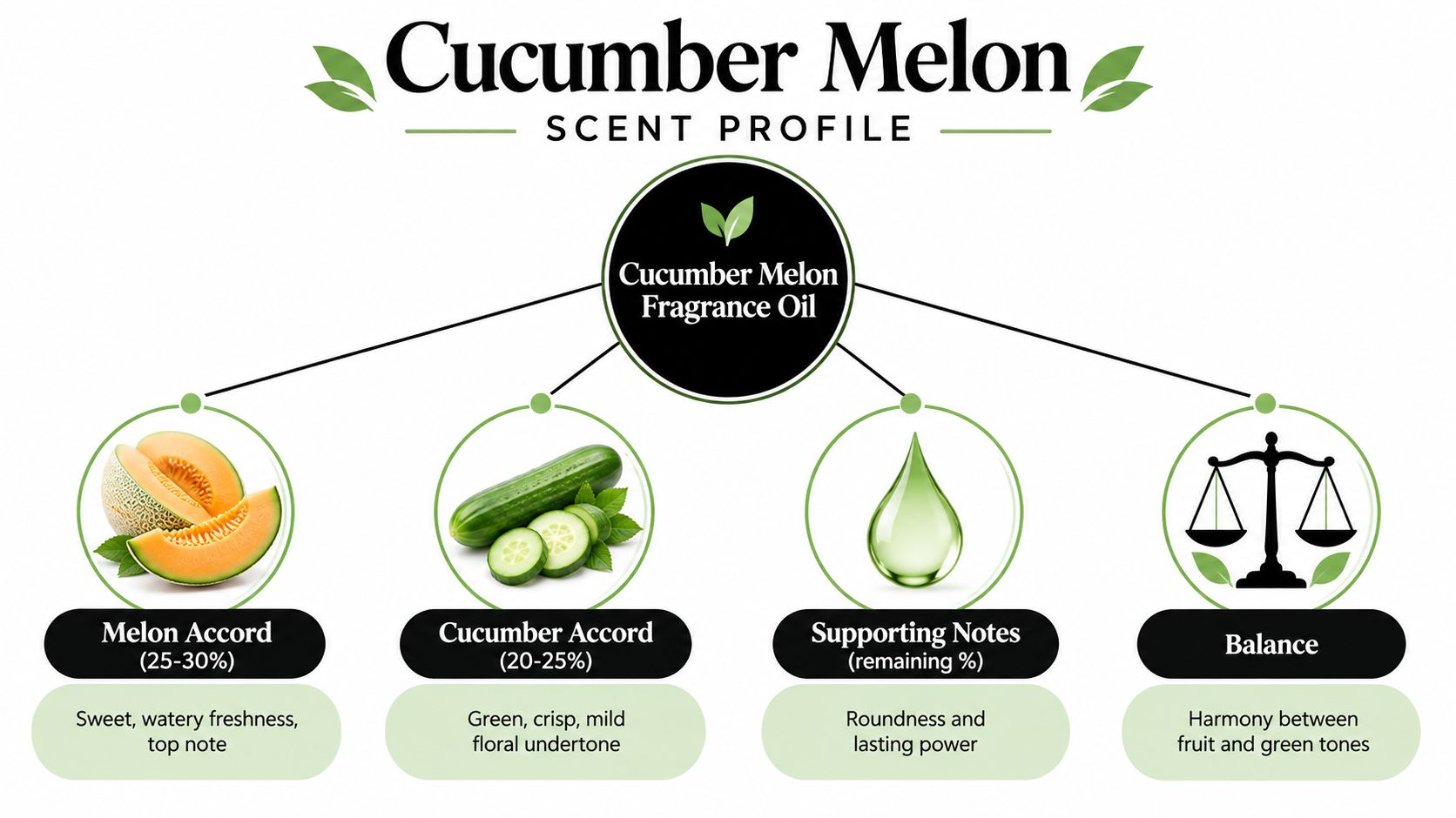 A scent profile infographic for cucumber melon fragrance oil showing notes of melon, cucumber, supporting notes, and balance.