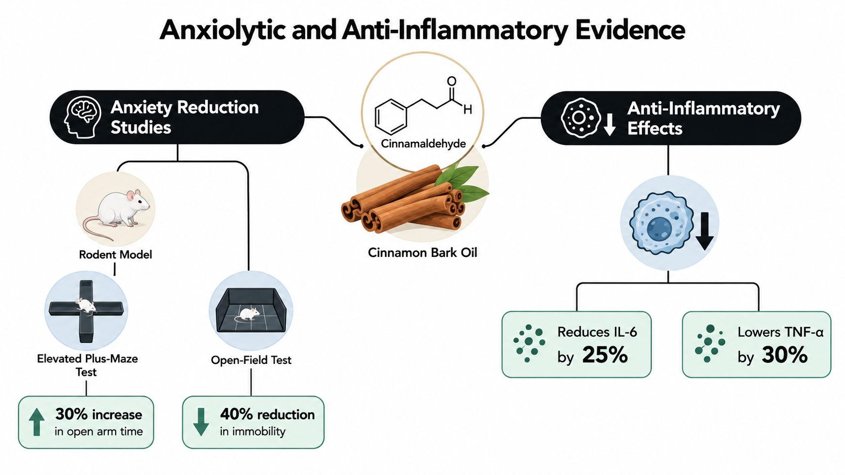 An infographic showing the anxiolytic and anti-inflammatory evidence of cinnamaldehyde found in cinnamon bark oil.