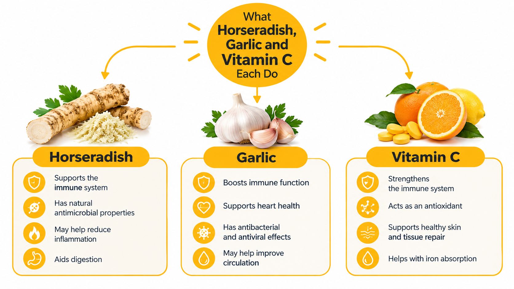 An infographic detailing the health benefits of horseradish, garlic, and vitamin C for immune system support.