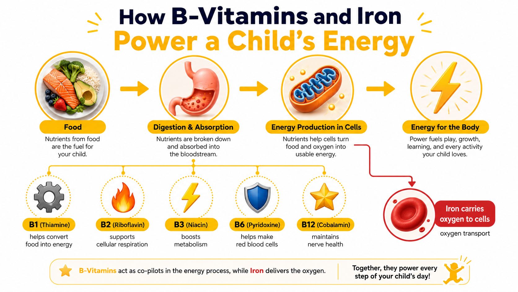 A diagram explaining how B-vitamins and iron provide energy to children for growth and daily activities.