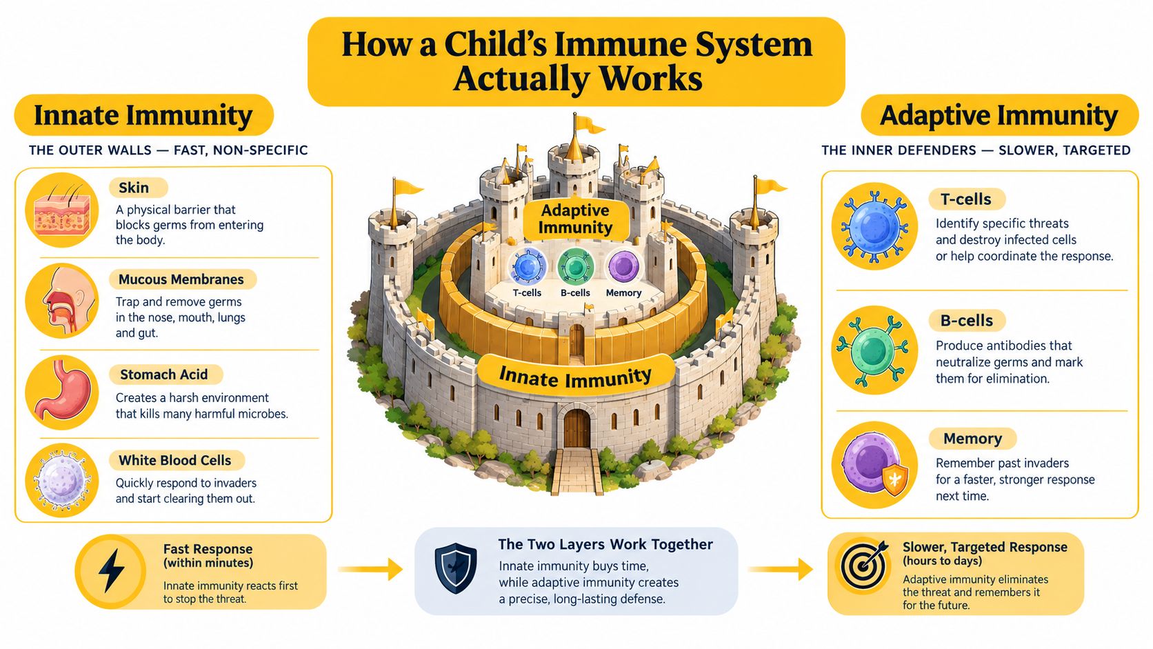 A diagram illustrating how a child's immune system works with innate and adaptive defense layers.