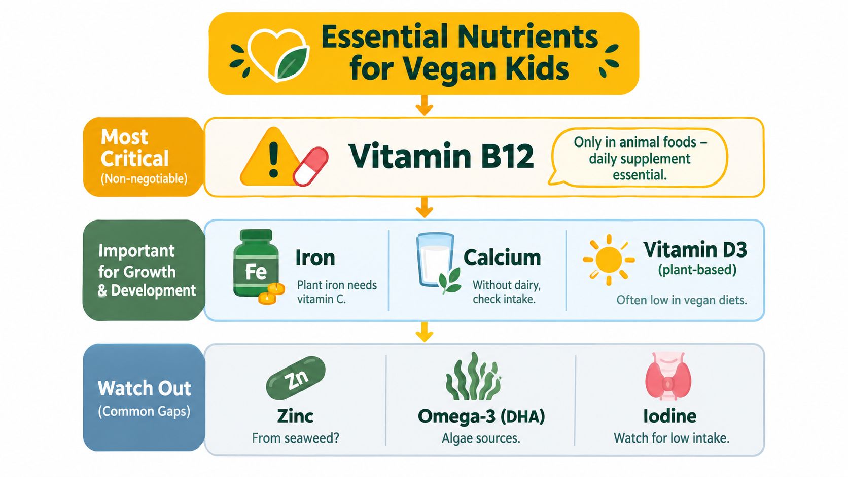 A nutrition infographic outlining essential vitamins and minerals for vegan children, categorized by importance and health impact.