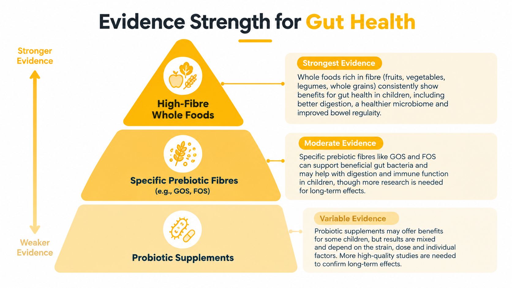 A pyramid chart showing evidence strength for gut health interventions, ranging from whole foods to probiotic supplements.