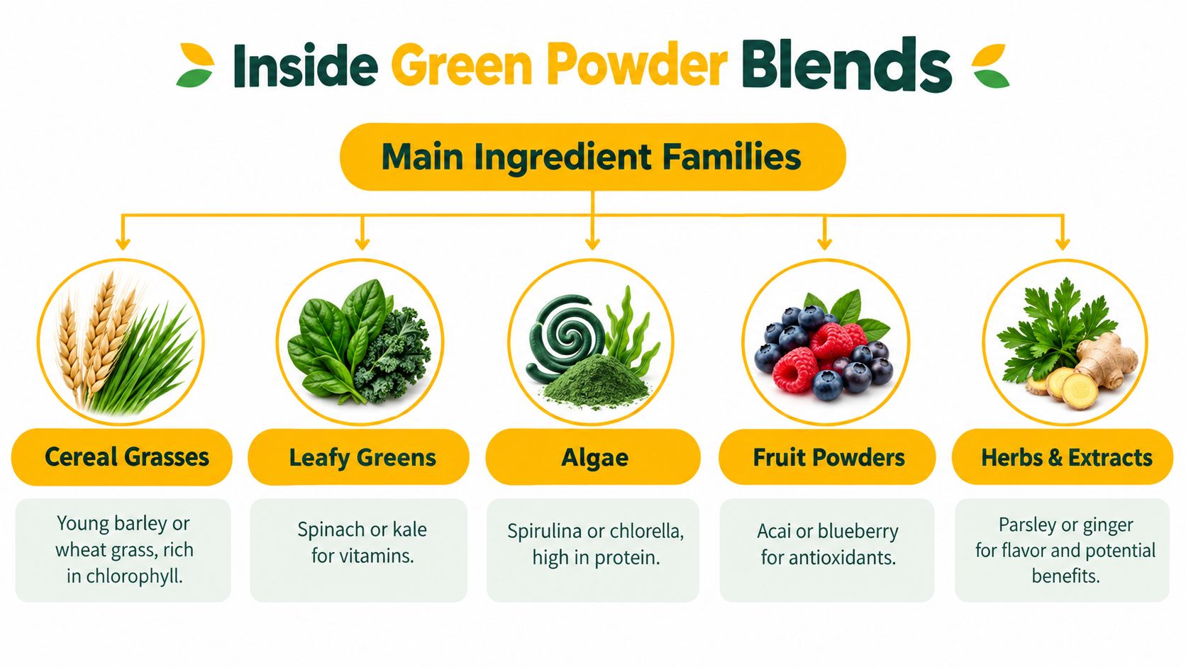 An infographic showing the five main ingredient families commonly found in green powder nutritional supplements.