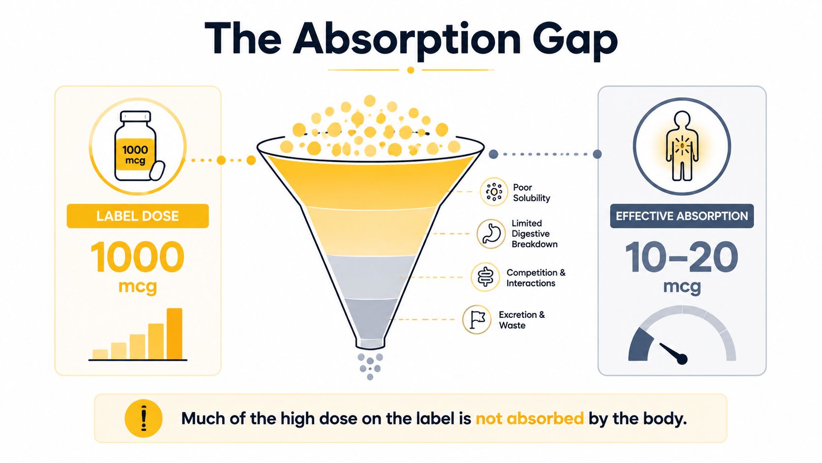 A diagram illustrating the absorption gap between high-dose supplement labels and actual effective nutrient absorption in humans.