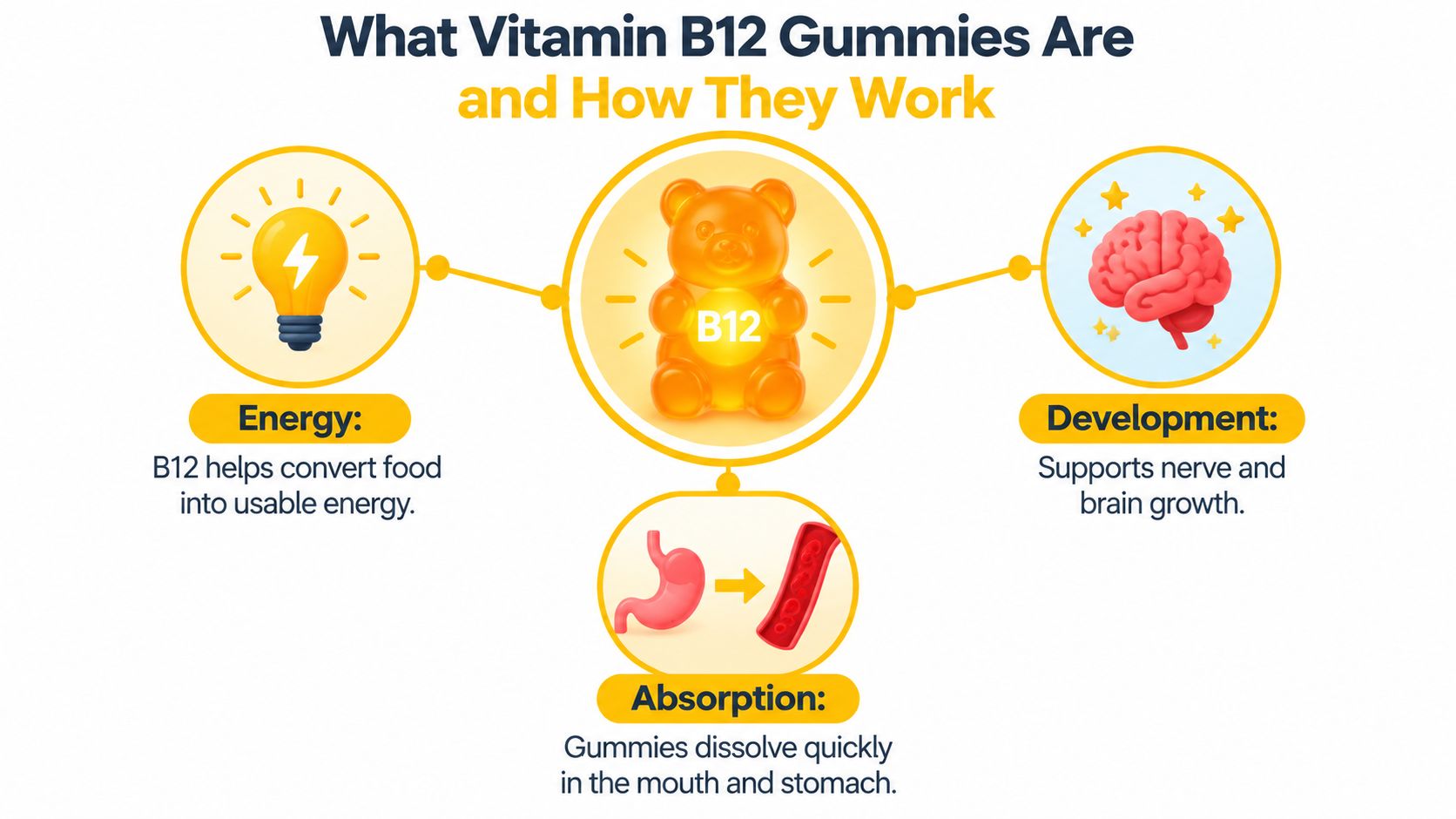 An infographic titled What Vitamin B12 Gummies Are and How They Work, explaining energy, development, and absorption.