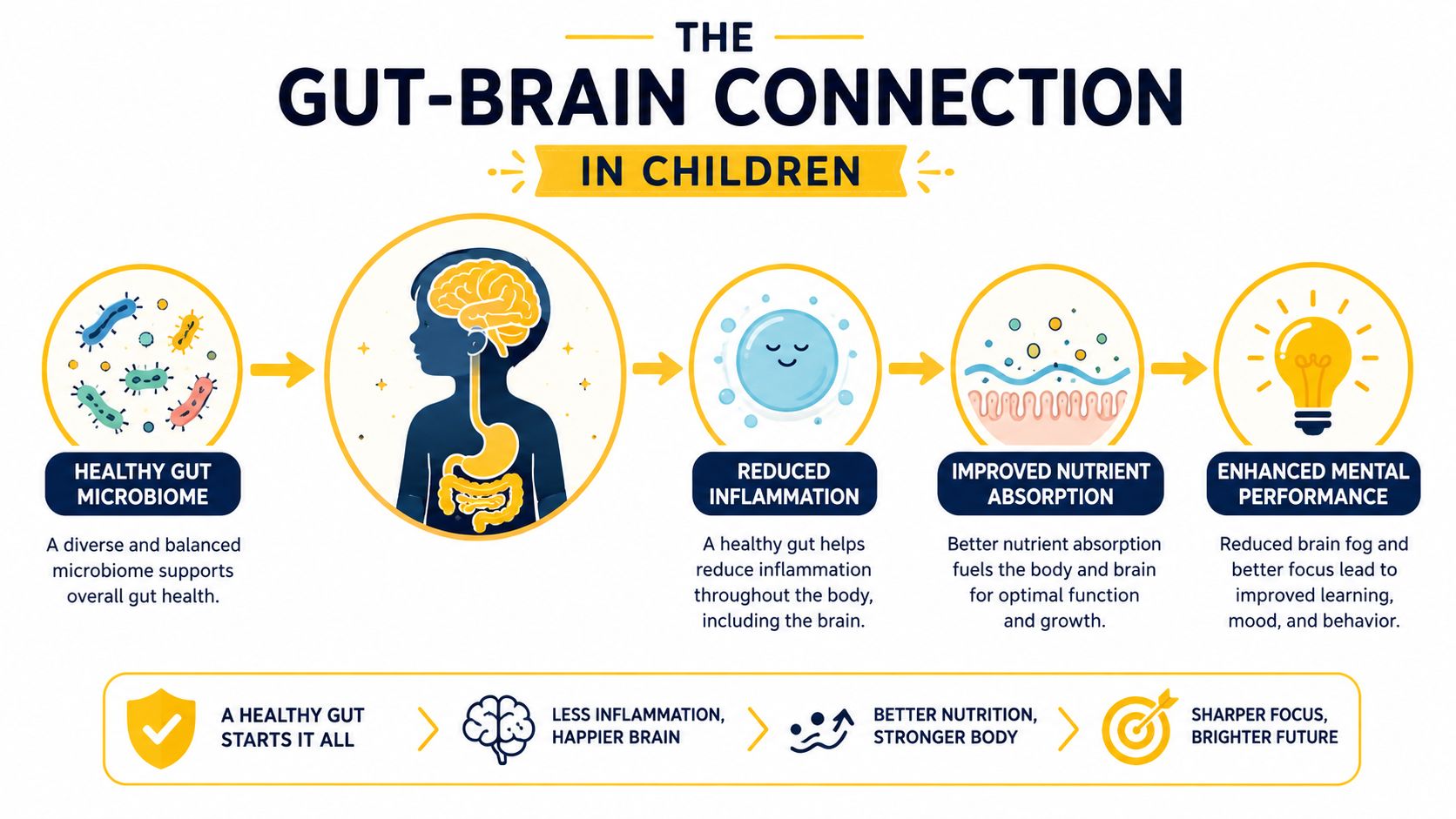 A diagram illustrating how a healthy gut microbiome in children leads to improved mental performance and focus.