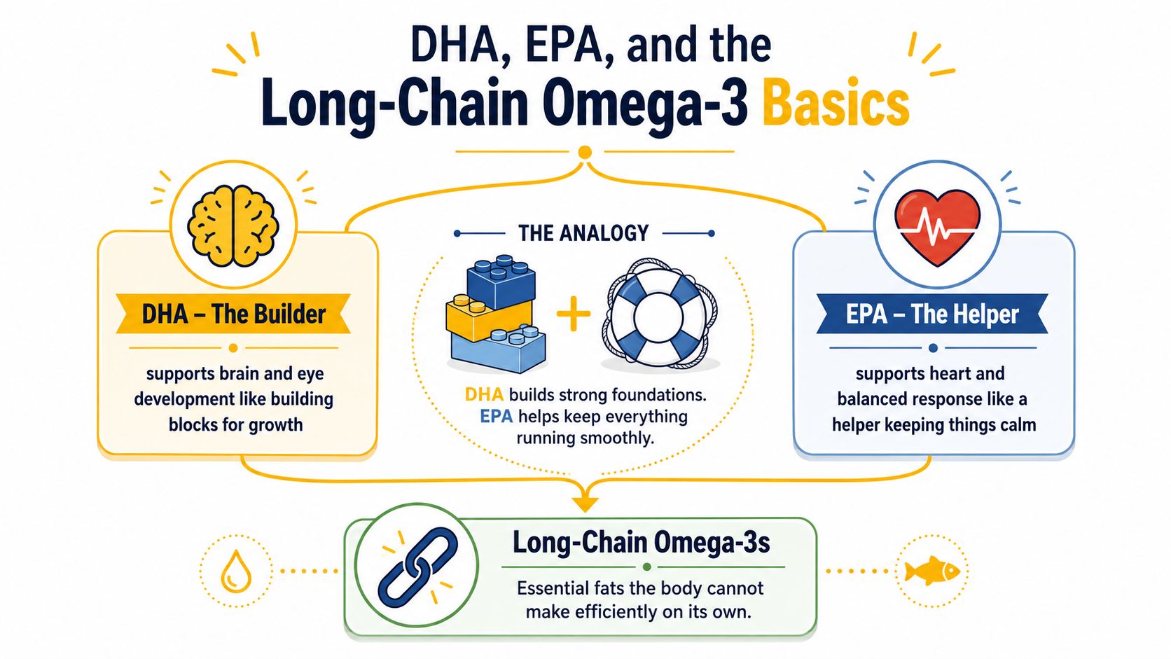 An infographic explaining the benefits of DHA and EPA omega-3 fatty acids for brain and heart health.