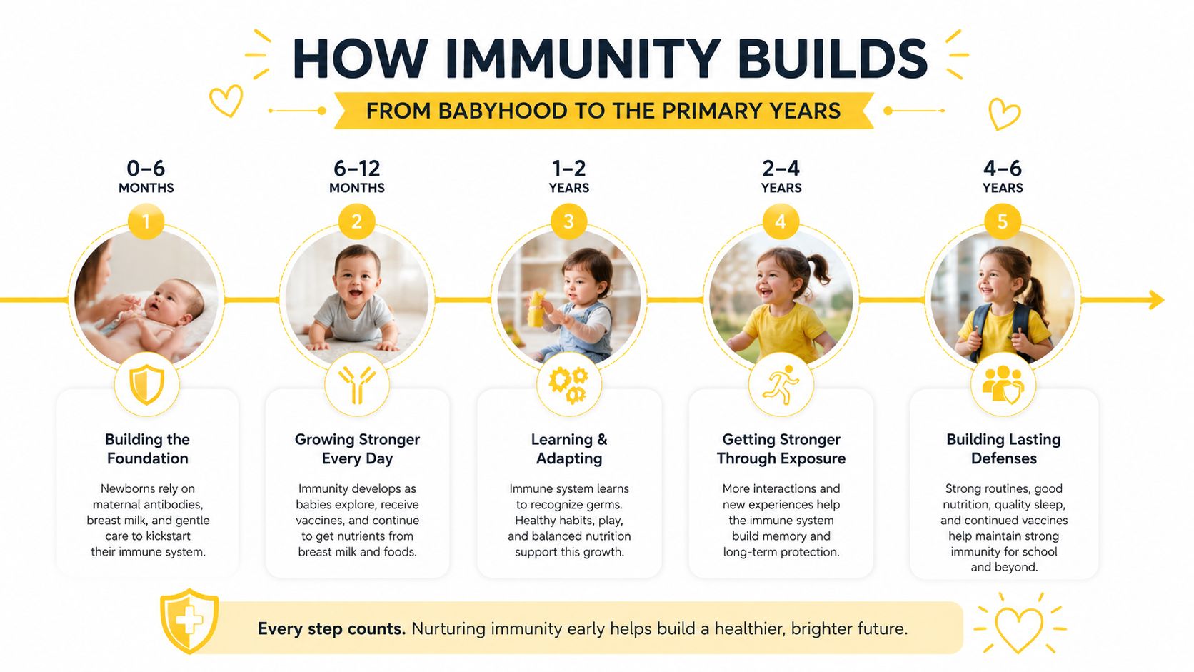 An infographic showing the stages of immune system development in children from birth to school age.