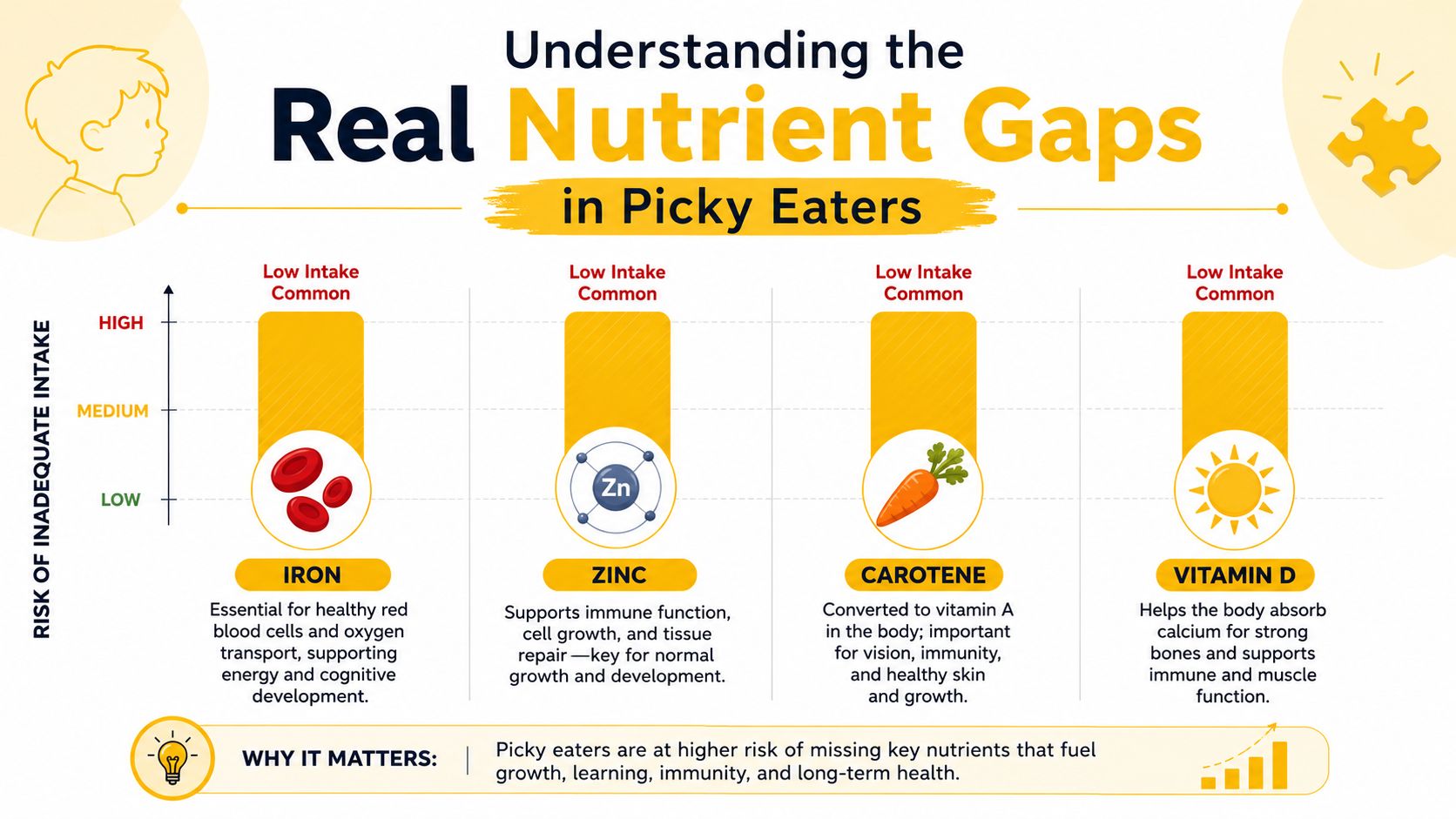 A chart highlighting four key nutrients often lacking in the diets of picky eaters, including iron, zinc, carotene, and vitamin D.