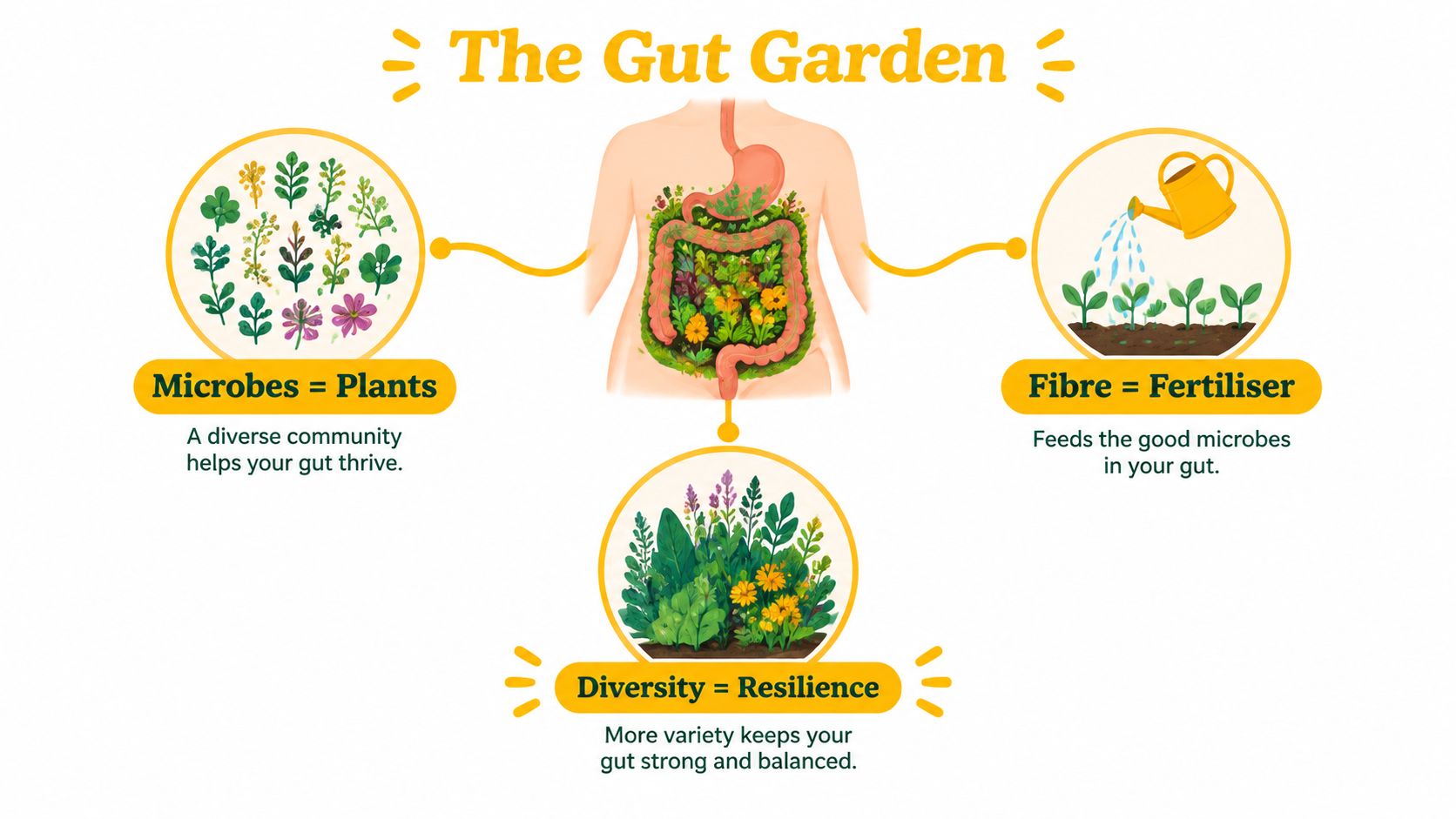 An infographic titled The Gut Garden illustrating how gut microbes function like a garden with fibre as fertiliser.