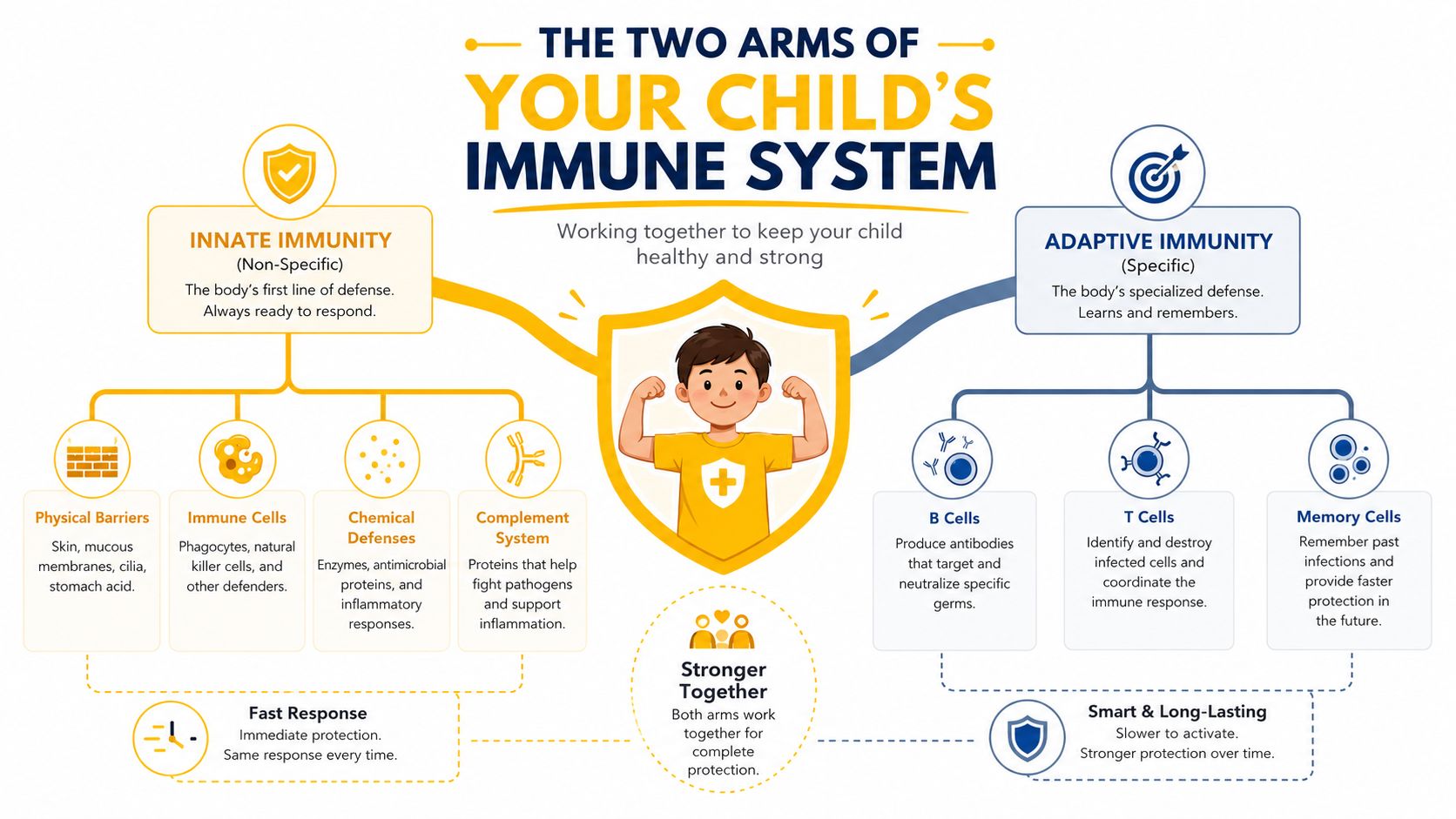 An infographic detailing the two arms of the child's immune system: innate immunity and adaptive immunity.