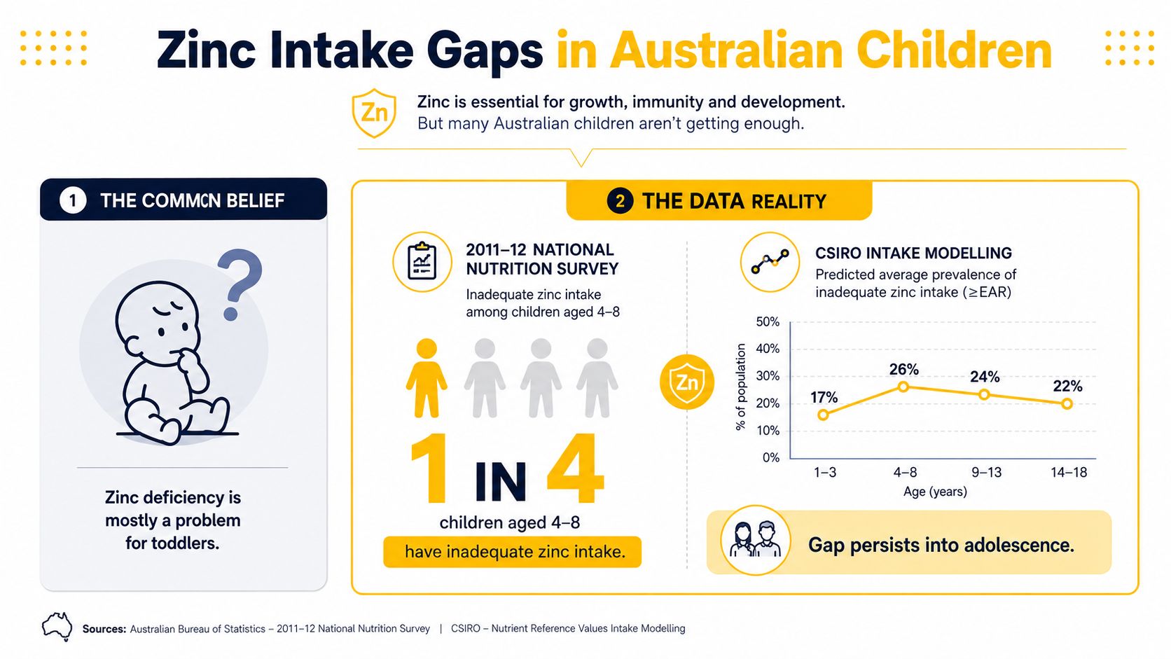 An infographic showing that zinc deficiency is a persistent issue for Australian children aged 1 to 18.