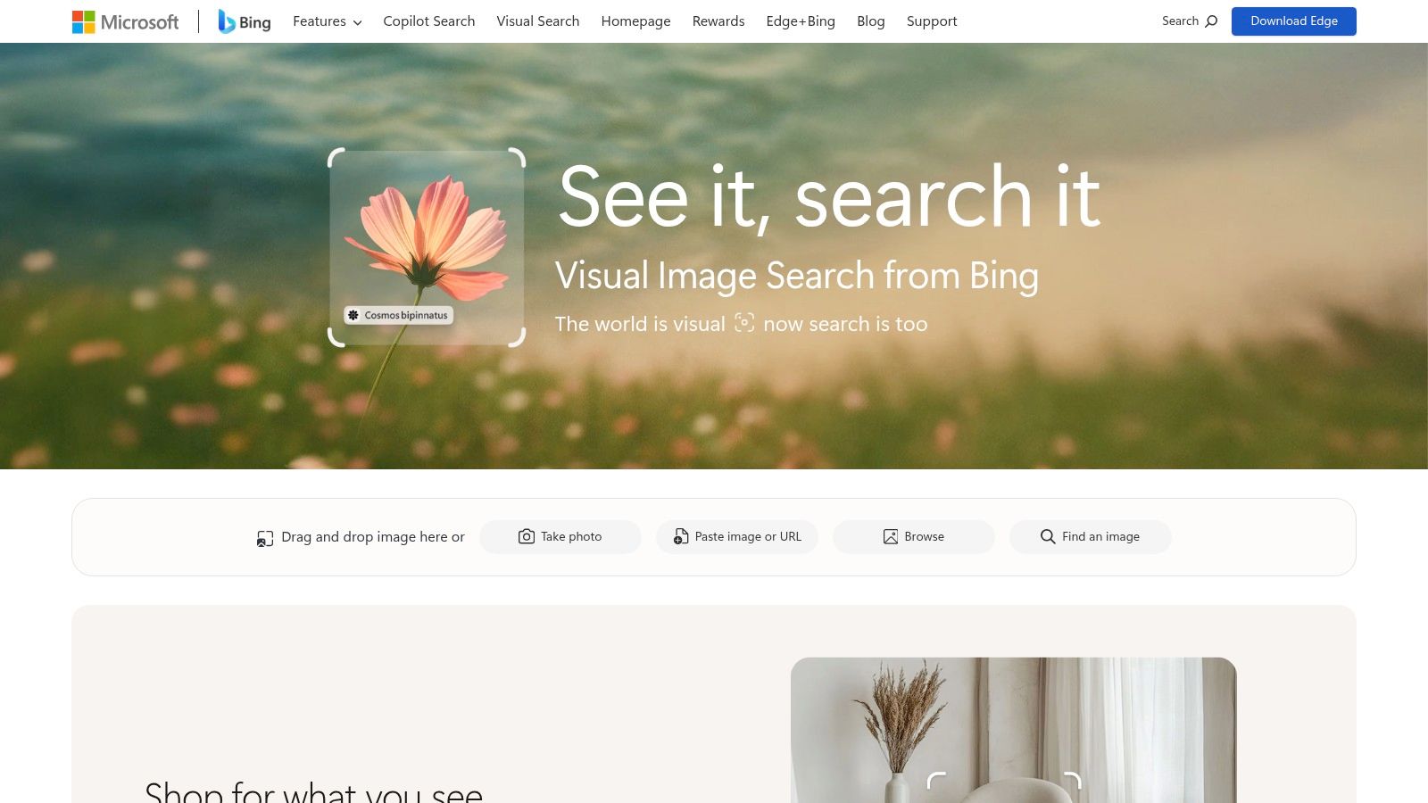 Bing Visual Search