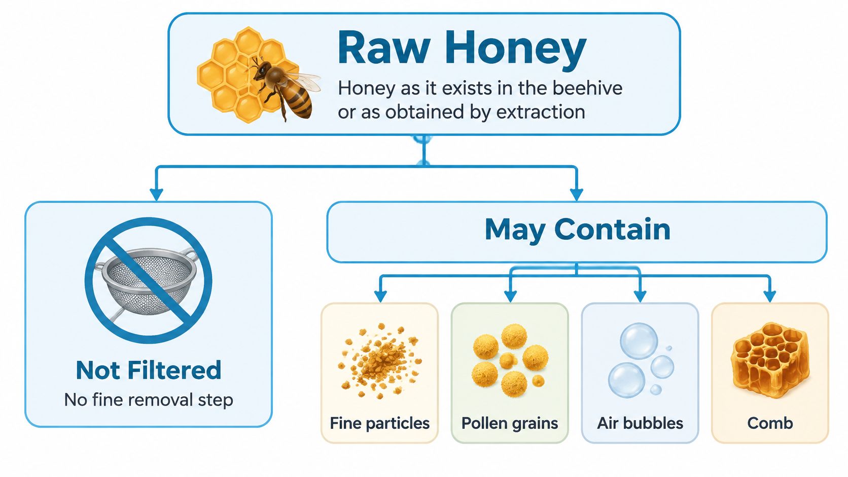 A diagram explaining that raw honey is not filtered and may contain particles, pollen, bubbles, or honeycomb.