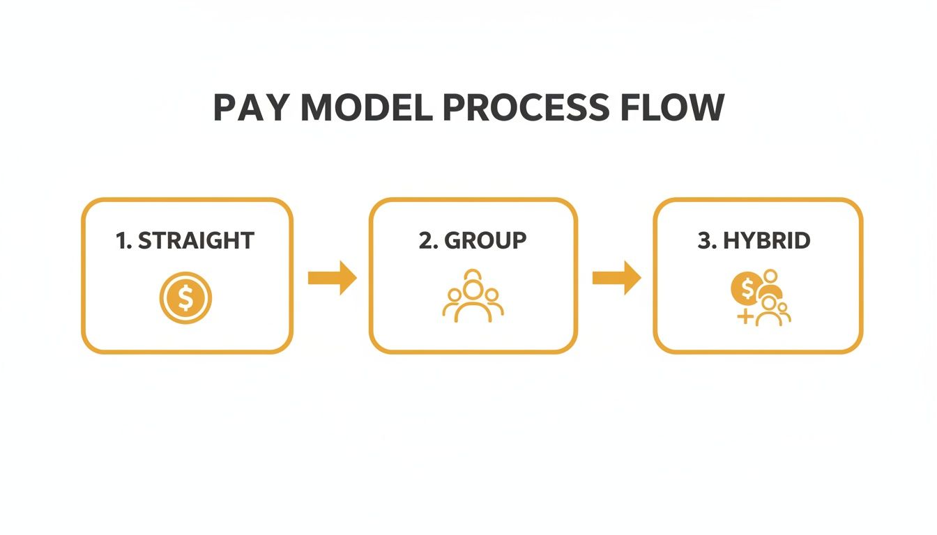 A process flow diagram illustrating three pay models: Straight (dollar icon), Group (people icon), and Hybrid (dollar and people icons).