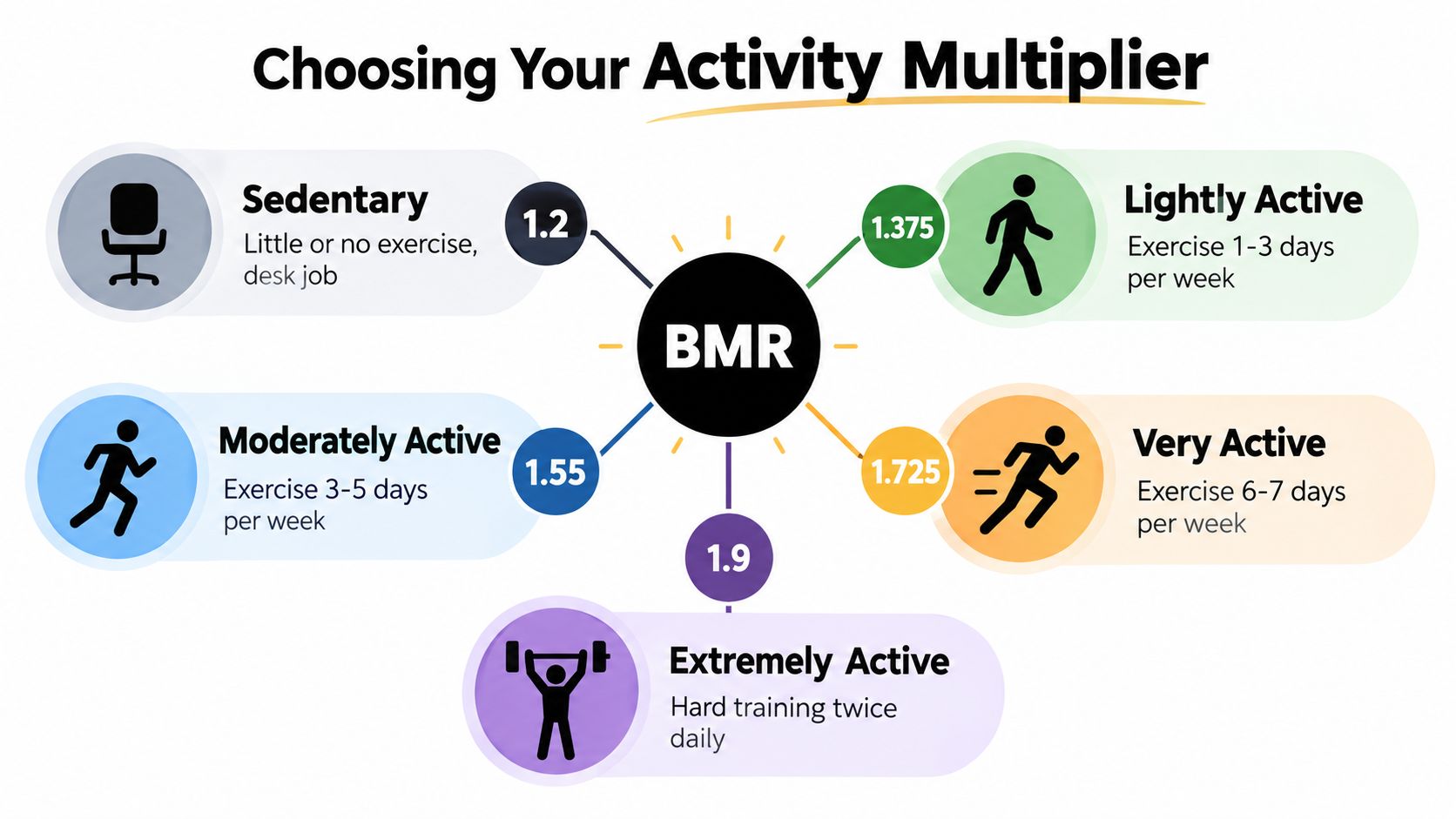 A diagram explaining activity multipliers for BMR to determine daily calorie needs based on exercise levels.