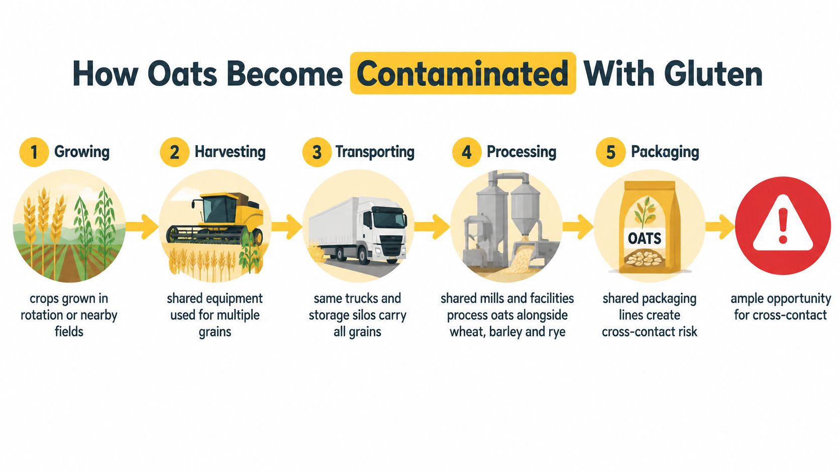 A diagram illustrating the five stages of potential gluten contamination in the oats supply chain from farm to packaging.