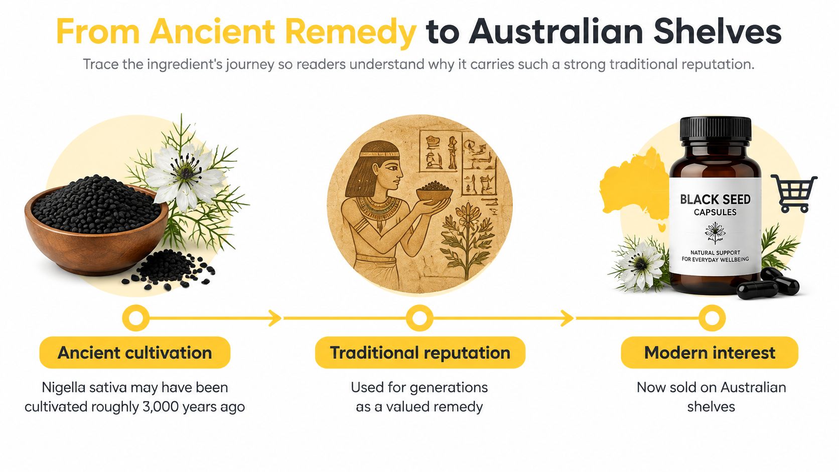 A timeline infographic illustrating the history of Nigella sativa from ancient cultivation to modern Australian retail shelves.