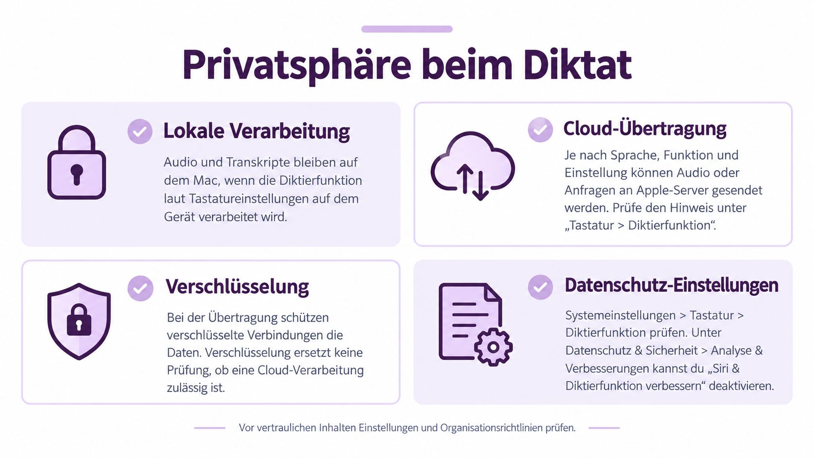 Eine Infografik zur Privatsphäre bei der Diktierfunktion auf dem Mac mit Erklärungen zur Datenverarbeitung und Sicherheitseinstellungen.