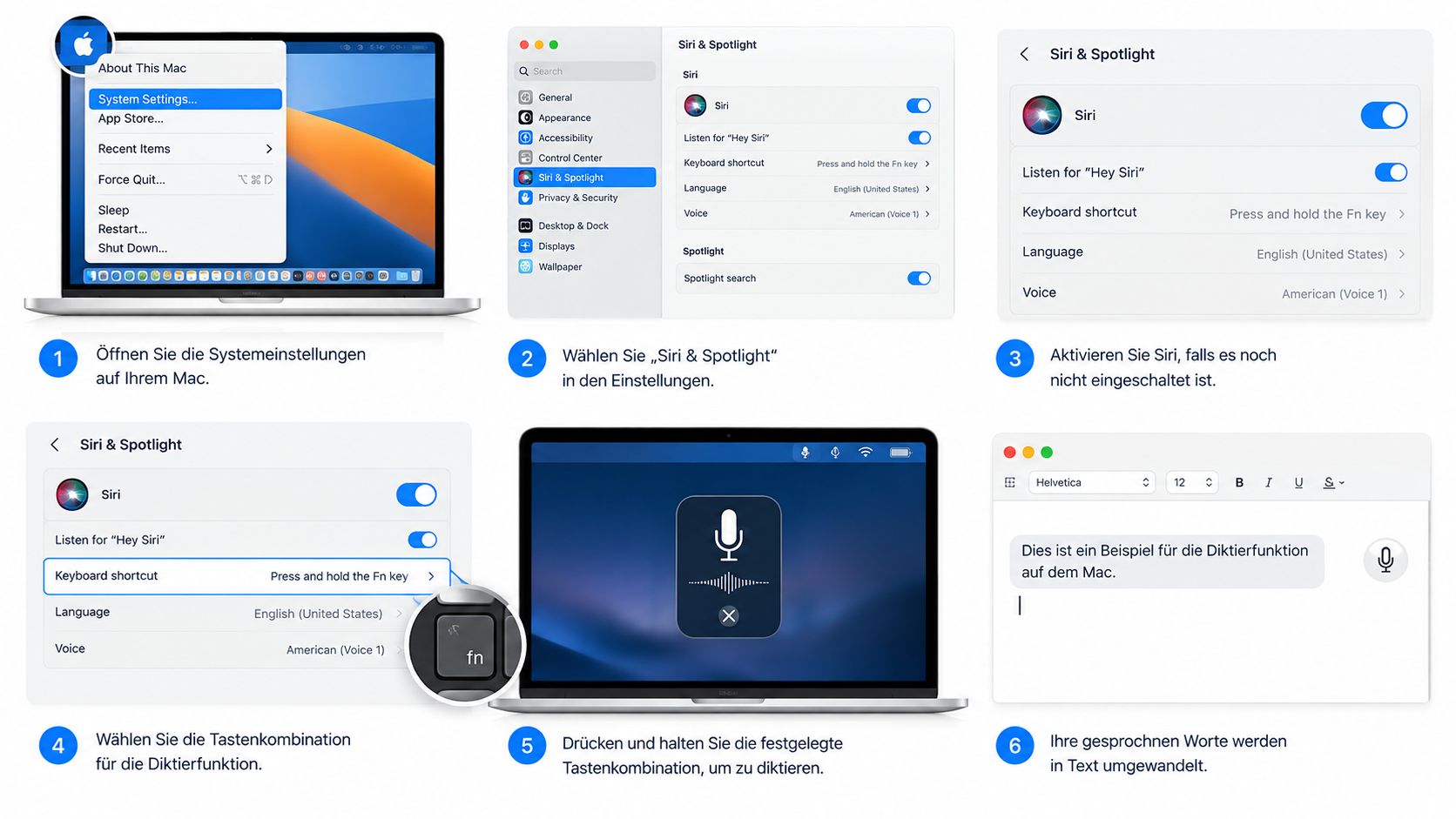 Screenshot from /images/diktieren-am-mac/einrichten-tastatur-diktat.png