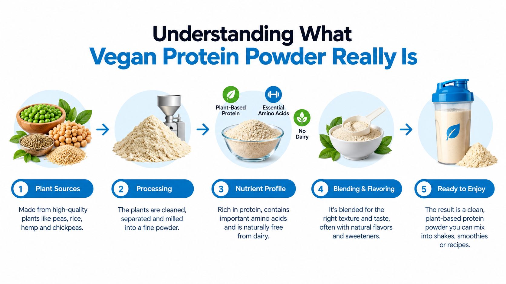 An infographic detailing the five-step process of creating plant-based vegan protein powder from raw plant ingredients.