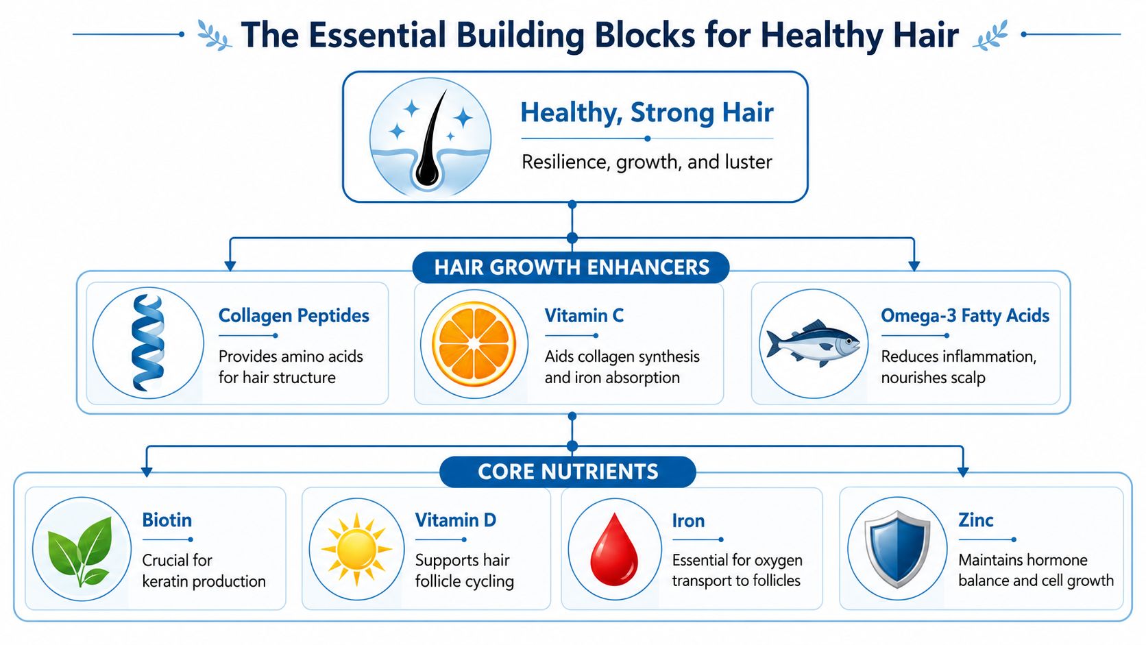 A detailed chart illustrating essential nutrients and vitamins that contribute to maintaining healthy and strong hair growth.