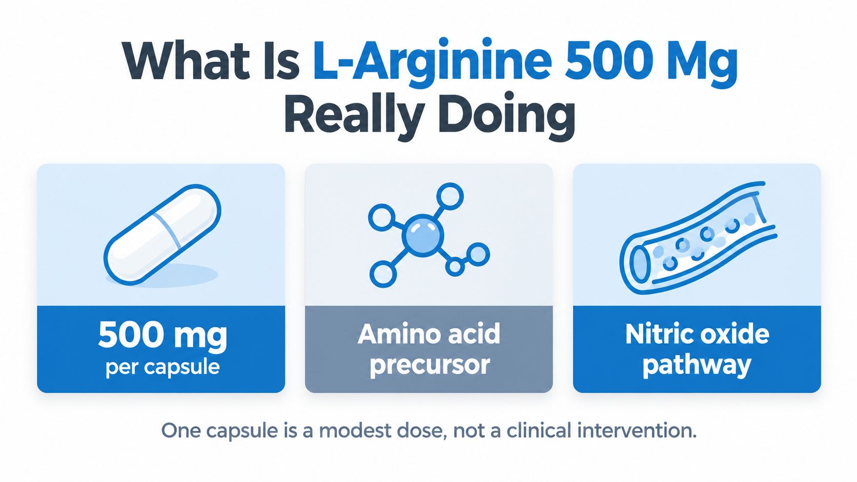 An infographic explaining that a 500 mg dose of L-Arginine is a modest amino acid supplement.