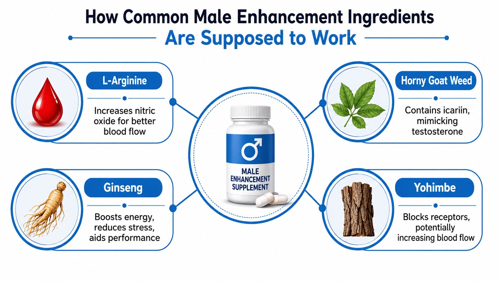 An infographic explaining how common ingredients in male enhancement pills are supposed to work in the body.