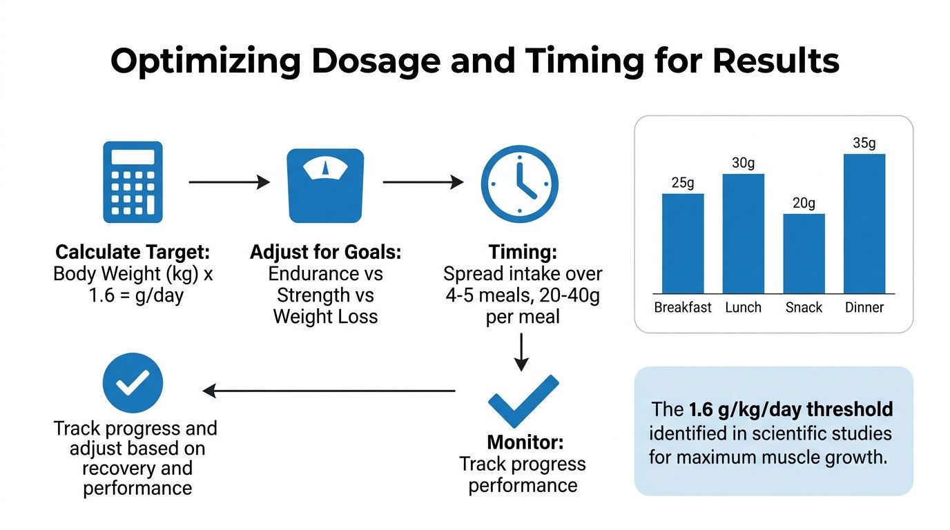 An infographic detailing how to calculate and time protein intake for optimal muscle growth and health.