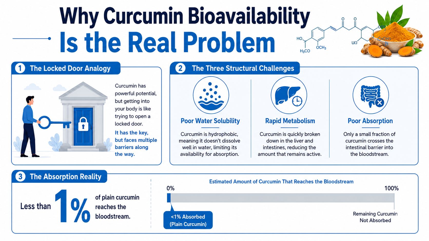 An infographic explaining the low bioavailability of curcumin, highlighting poor water solubility, metabolism, and limited absorption rates.