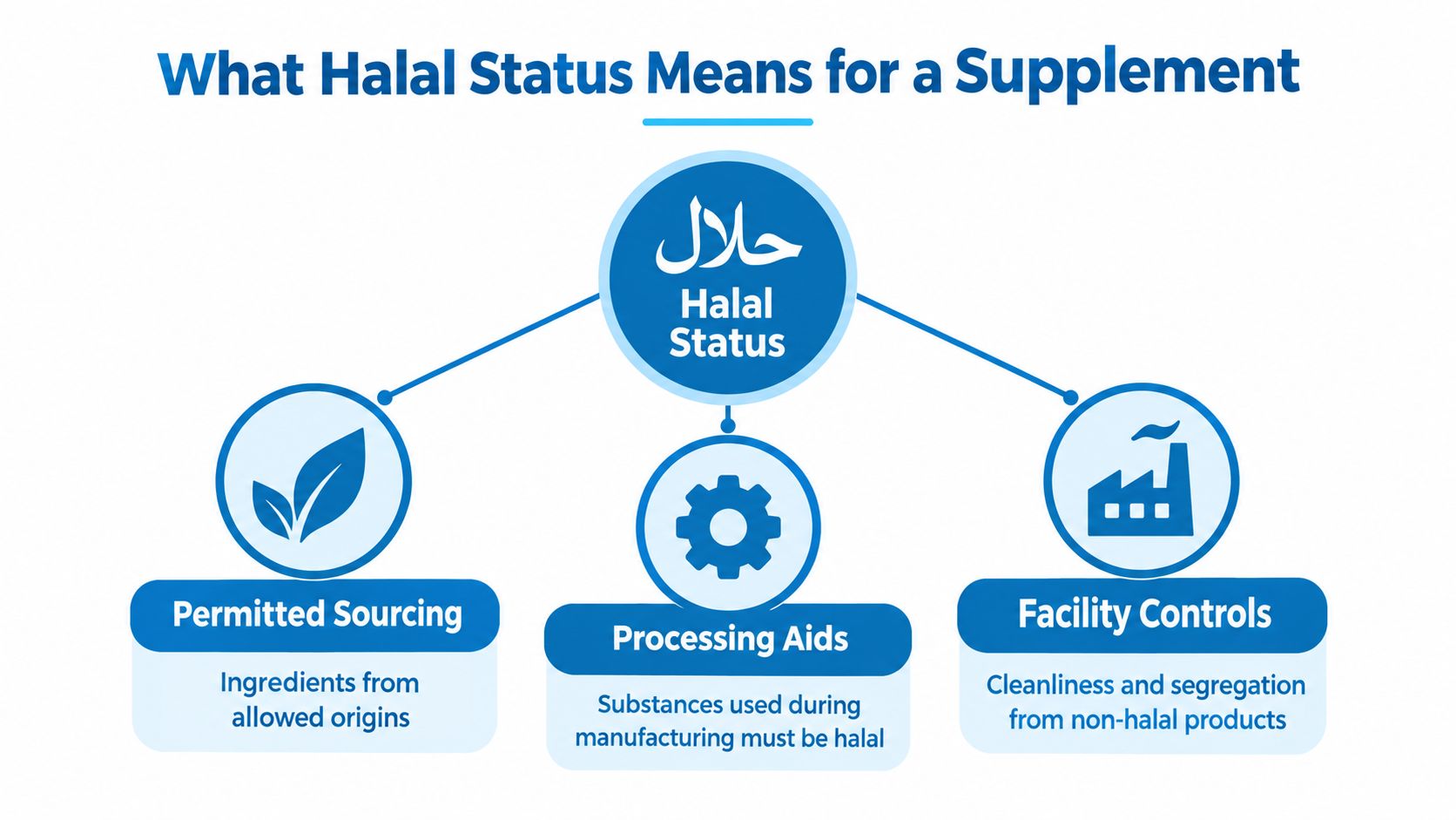 An infographic titled What Halal Status Means for a Supplement featuring three key pillars: sourcing, aids, and facility.