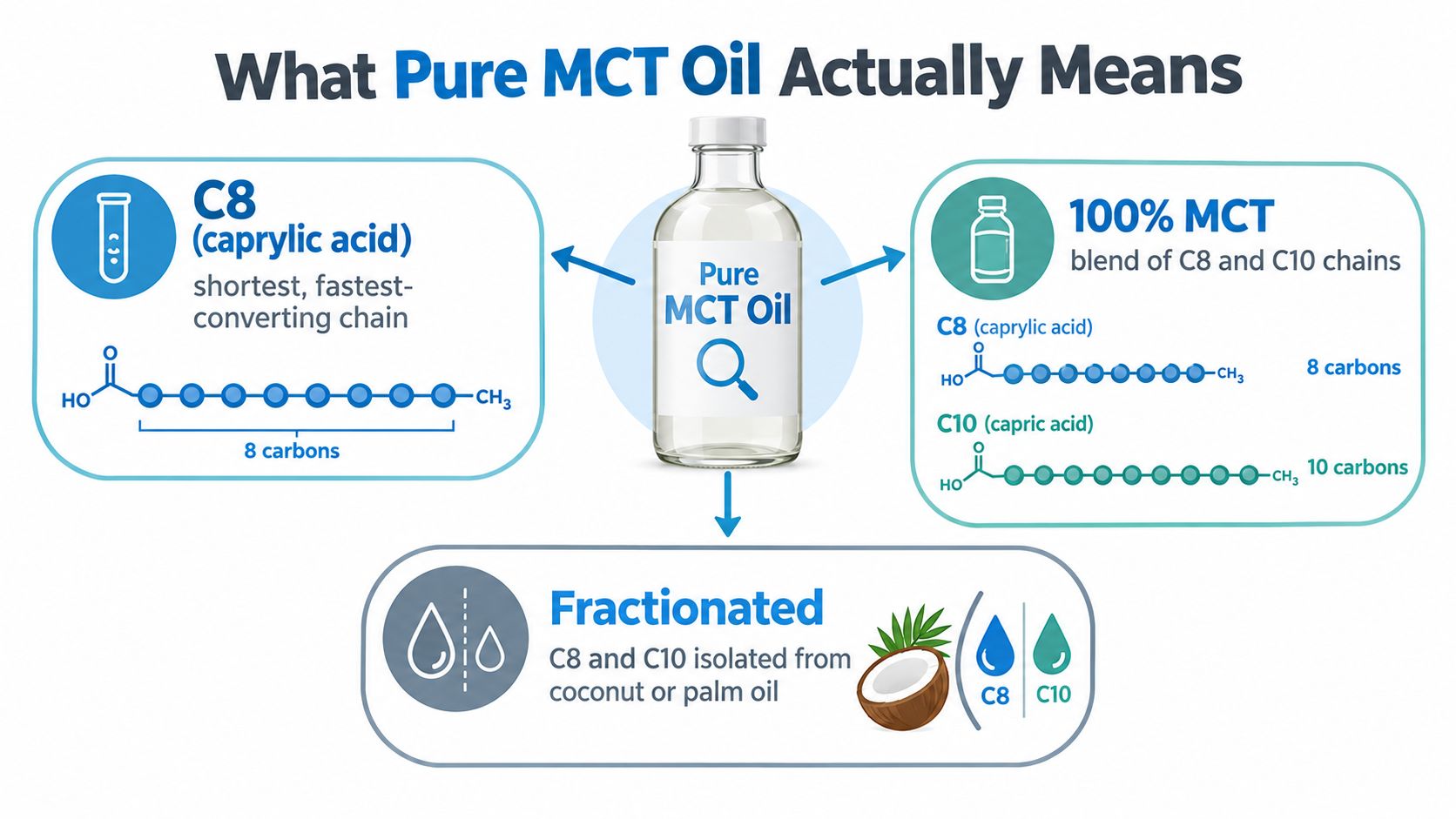 An infographic explaining the components and production of pure MCT oil, highlighting C8 and C10 fatty acid chains.