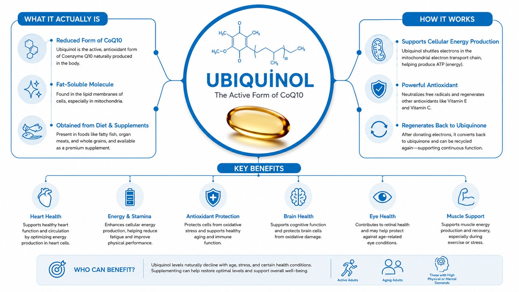 An infographic titled Ubiquinol explaining its definition, mechanism of action, key health benefits, and target groups.