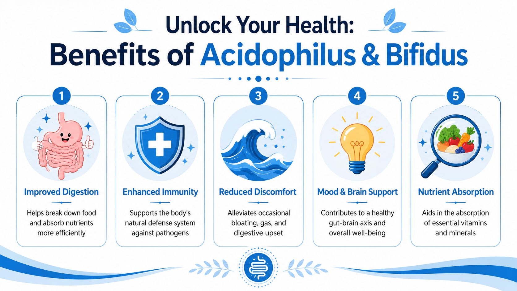 An infographic detailing five key health benefits of taking acidophilus and bifidus probiotics for digestive wellness.