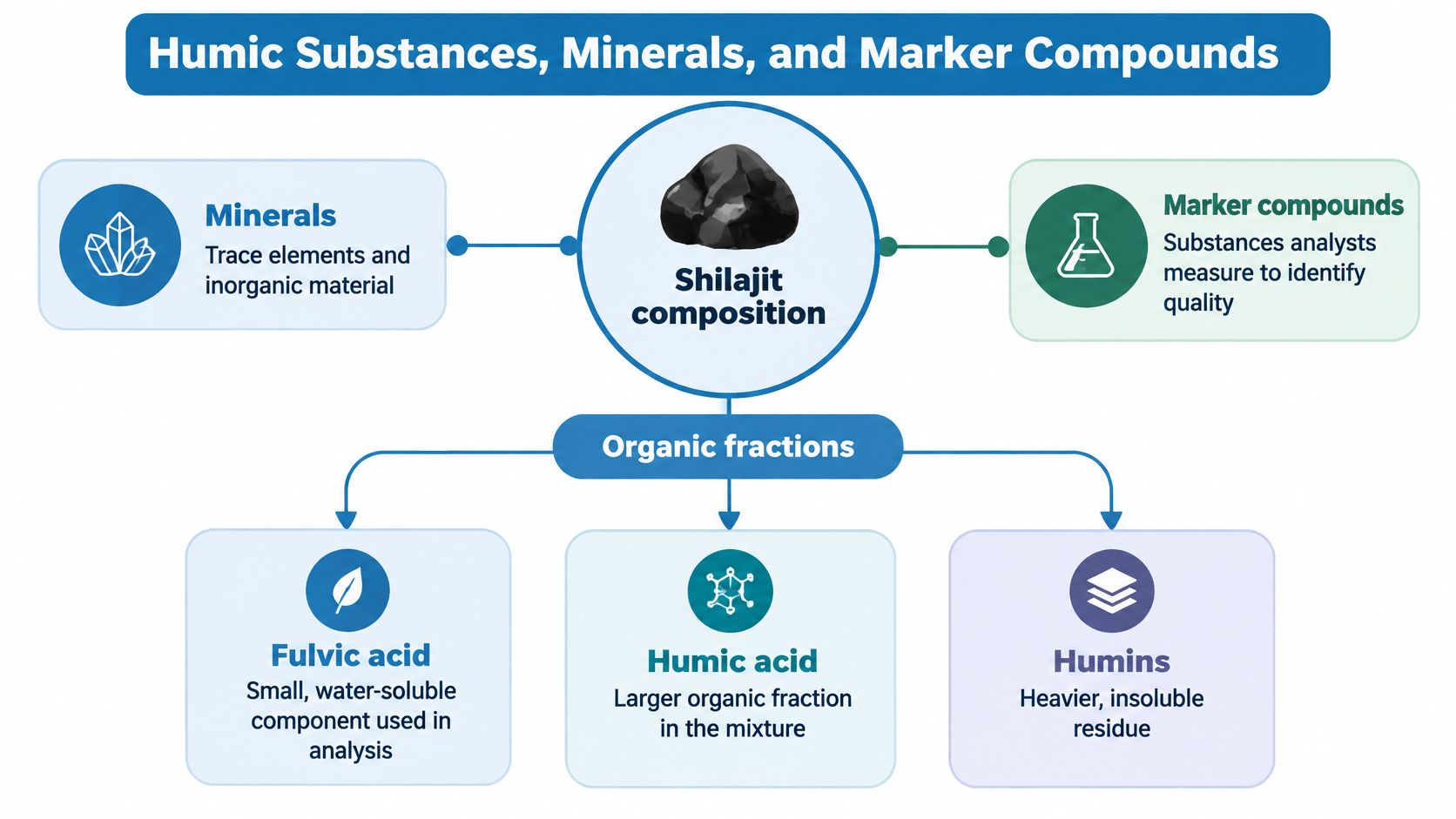 A diagram illustrating the composition of Shilajit, detailing its minerals, marker compounds, and organic humic acid fractions.
