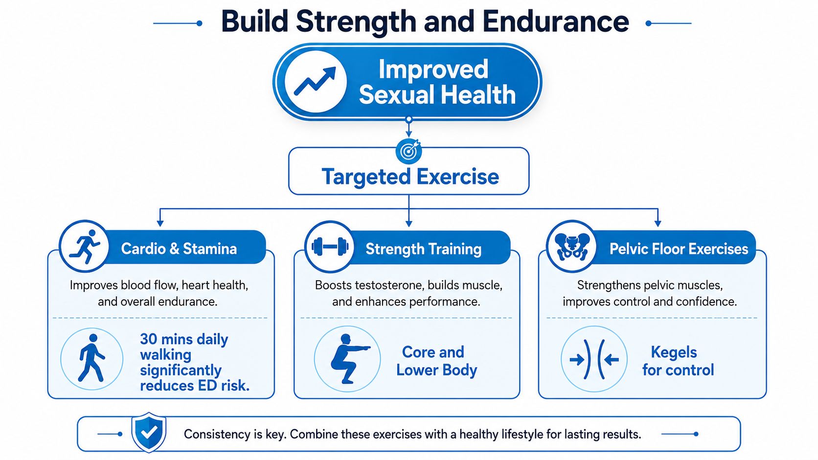 A diagram outlining how cardio, strength training, and pelvic floor exercises can improve male sexual health.