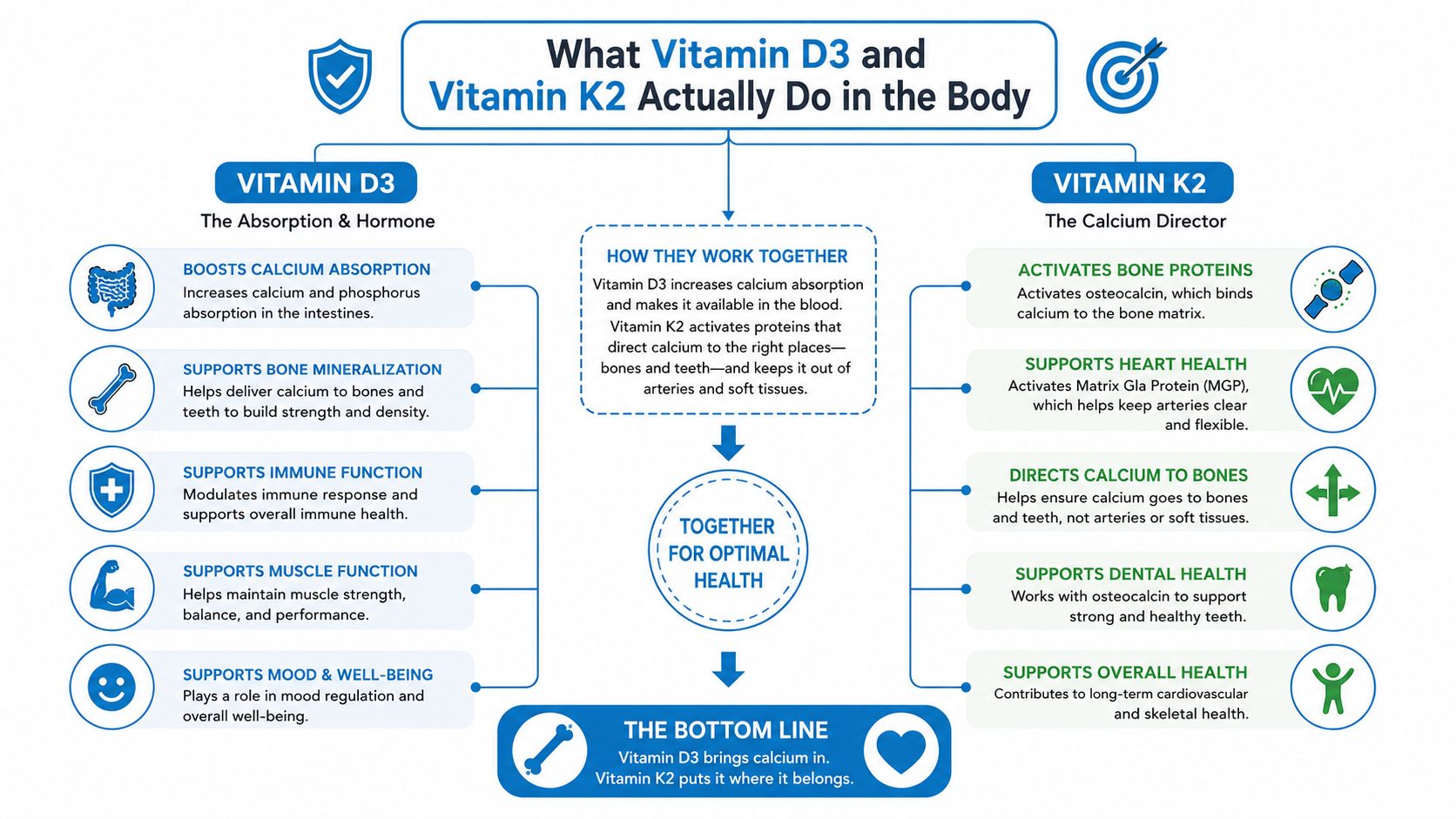 An educational infographic explaining how Vitamin D3 and K2 work together to support bone and heart health.