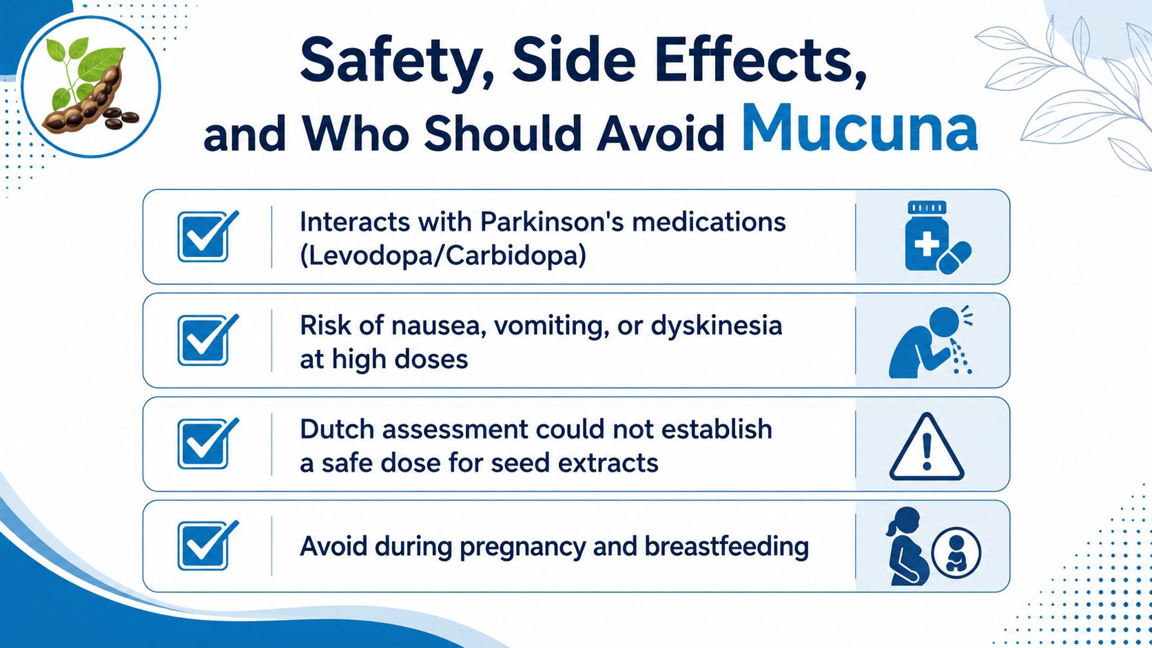 An infographic titled Safety, Side Effects, and Who Should Avoid Mucuna listing key warnings and precautions.